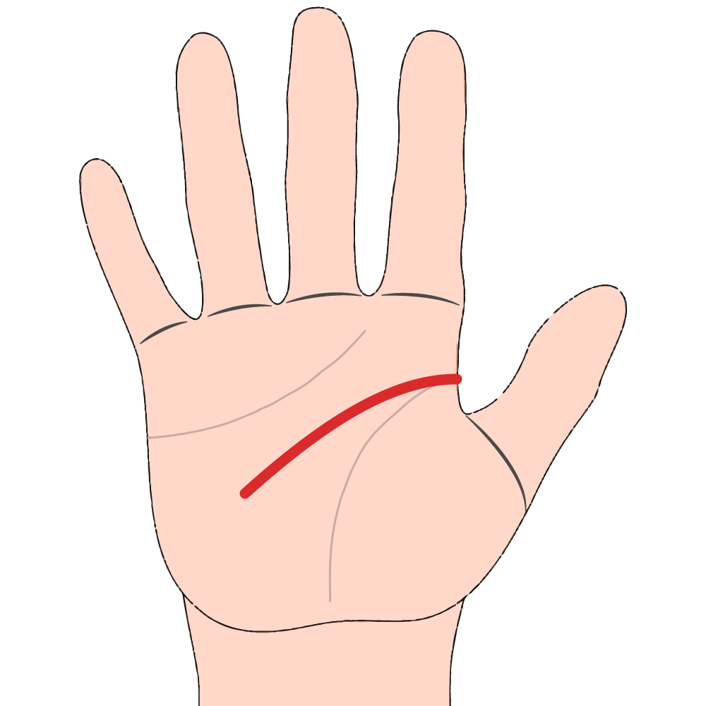 Slightly Slopes Downwards to the Left