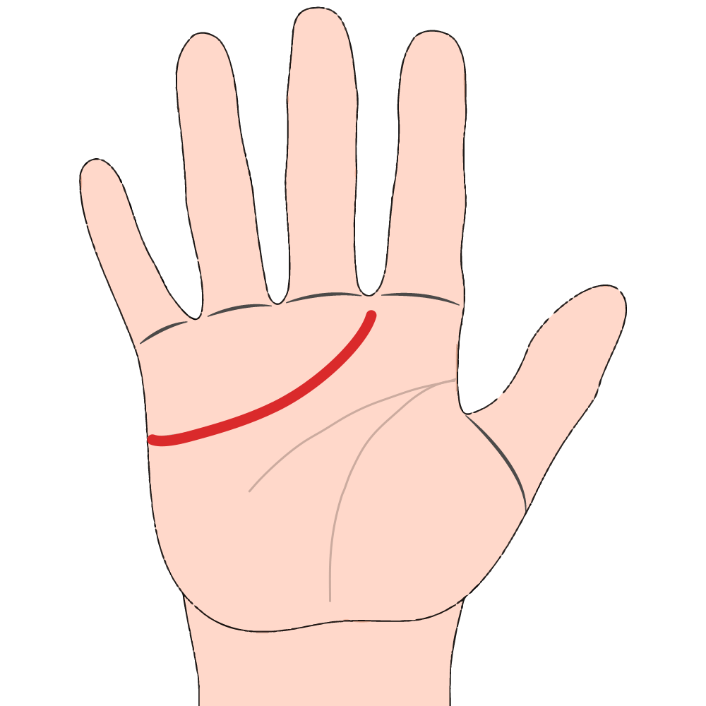 Curves Between the Middle and Index Finger